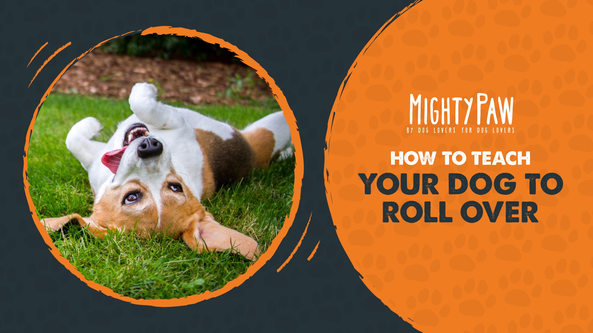 How to get your dog to roll sales over