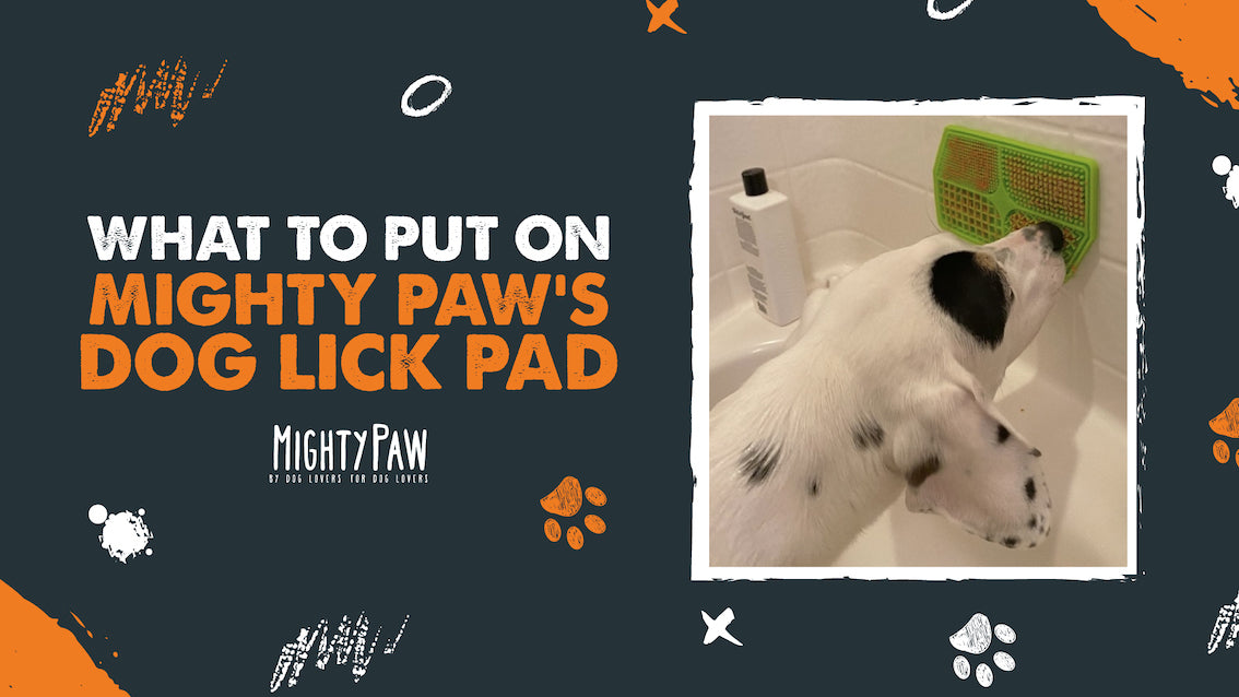 What to put on the Mighty Paw Dog Lick Pad