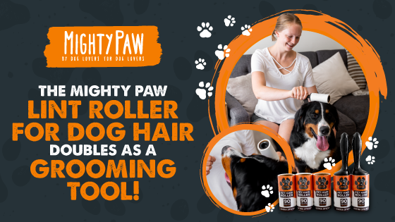 This Lint Roller for Dog Hair Doubles As A Grooming Tool!