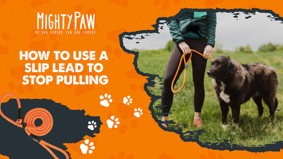 How to Use A Slip Lead to Stop Pulling