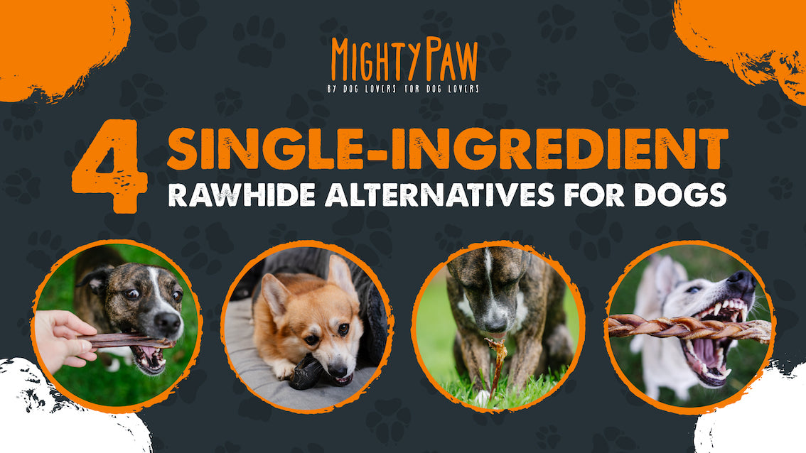 4 Single-Ingredient Rawhide Alternatives for Dogs