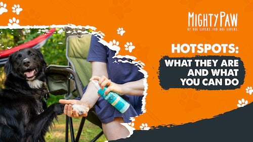 Hotspots: What They Are and What You Can Do