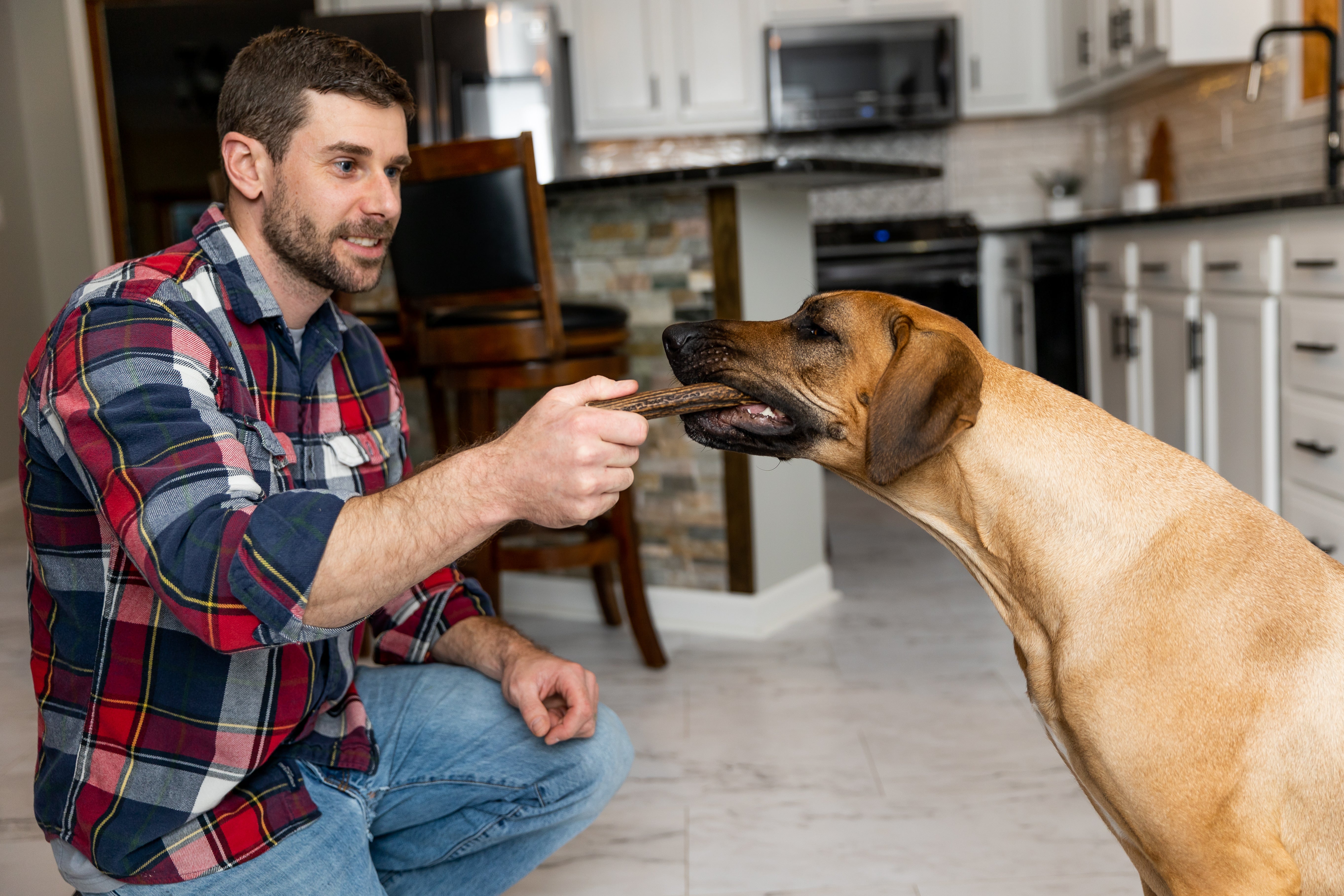 Man in plaid shirt gives tan dog Mighty Paw Elk Antler in kitchen.