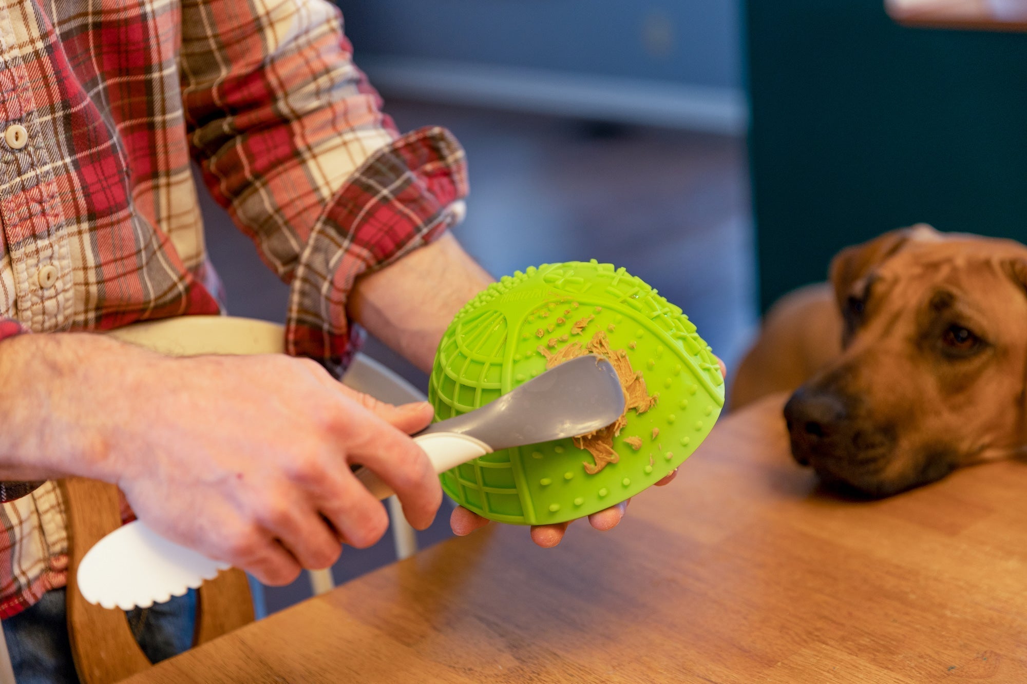 Close up of a person's hands holding a spoon spreading Mighty Paw Peanut Butter on a Mighty Paw Lick Bowl with brown dog looking on.