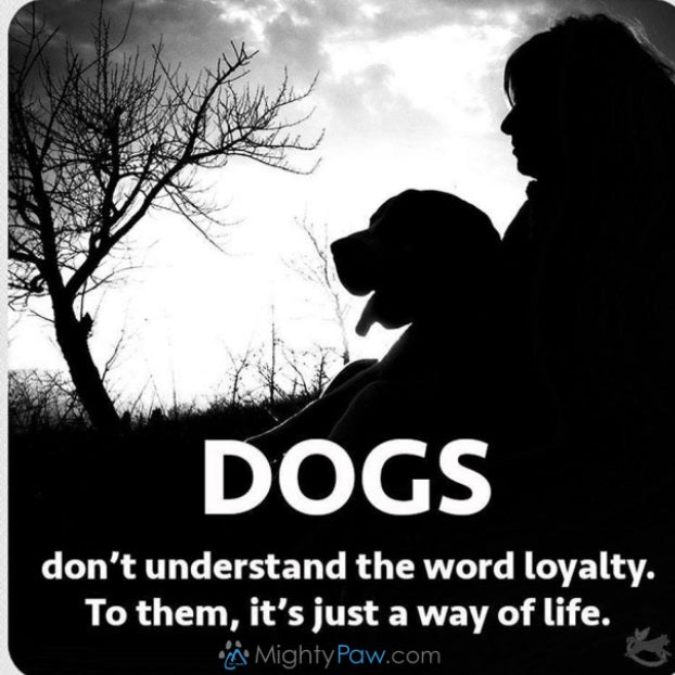 The Loyal Life… Dog’s get it