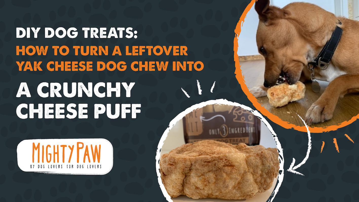 DIY Dog Treats: How To Turn A Leftover Yak Cheese Dog Chew Into A Crunchy Cheese Puff