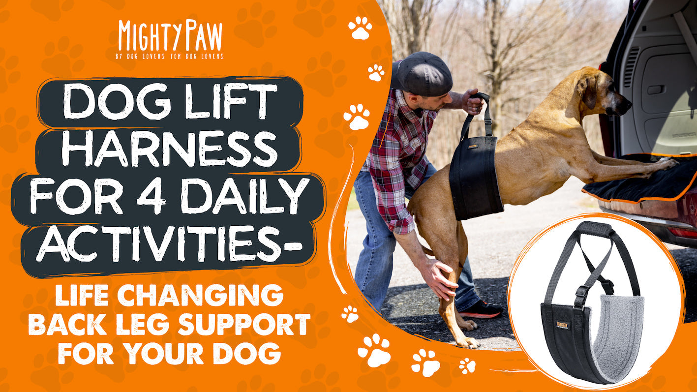 Dog Lift Harness for 4 Daily Activities - Life Changing Back Leg Support For Your Dog