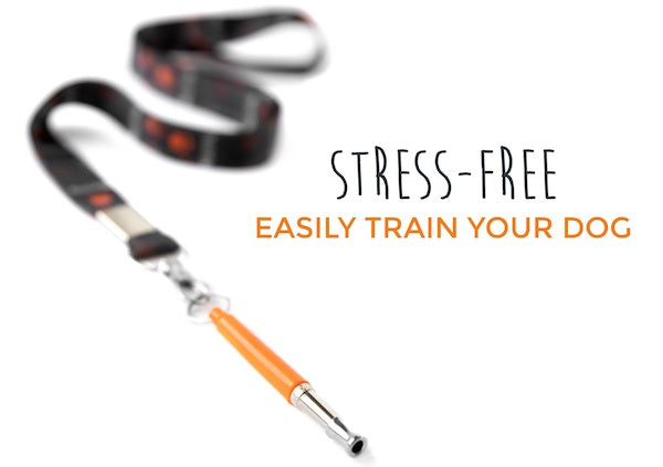 How to Use a Dog Whistle for Training Your Dog