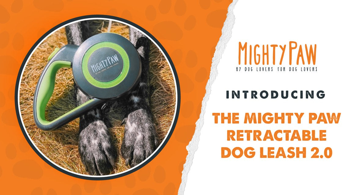 Introducing The Mighty Paw Retractable Dog Leash 2.0