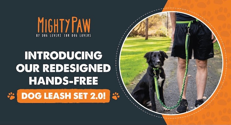 Introducing the redesigned Mighty Paw Hands-Free Dog Leash Set 2.0