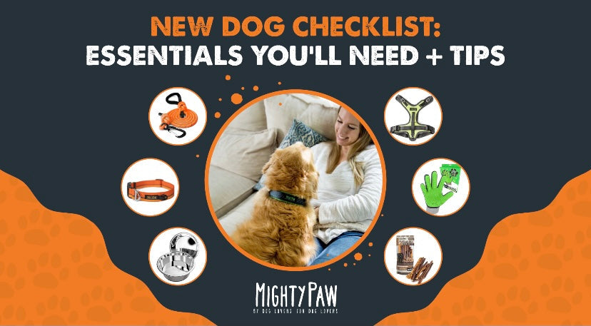 New Dog Checklist: Essentials You'll Need + Tips