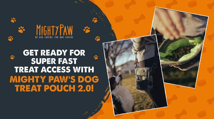 Get ready for super fast treat access with Mighty Paw's Dog Treat Pouch 2.0