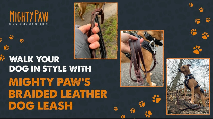 Walk your dog in style with Mighty Paw's Braided Leather Dog Leash