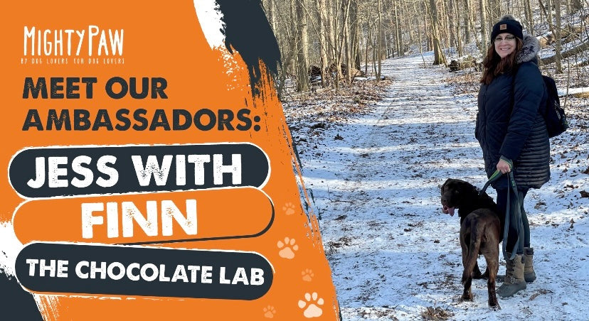 Meet the Mighty Paw Ambassadors: Jess with Finn