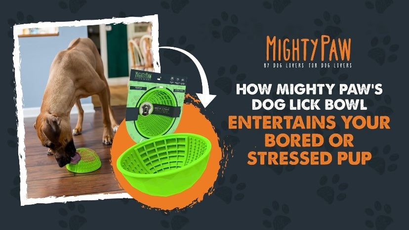 How Mighty Paw's Dog Lick Bowl entertains your bored or stressed pup