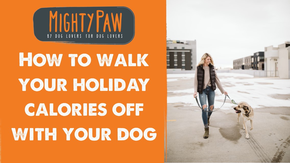 How To Walk Your Holiday Calories Off With Your Dog!