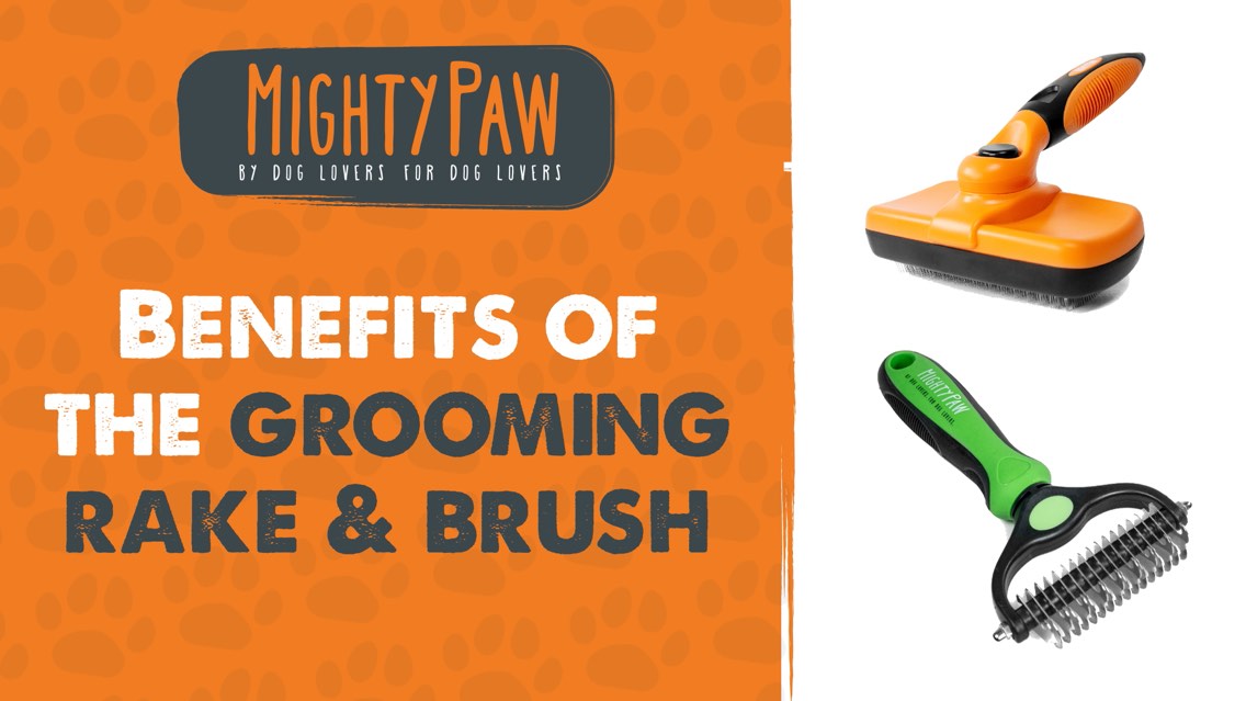 Benefits Of The Mighty Paw Grooming Rake & Grooming Brush