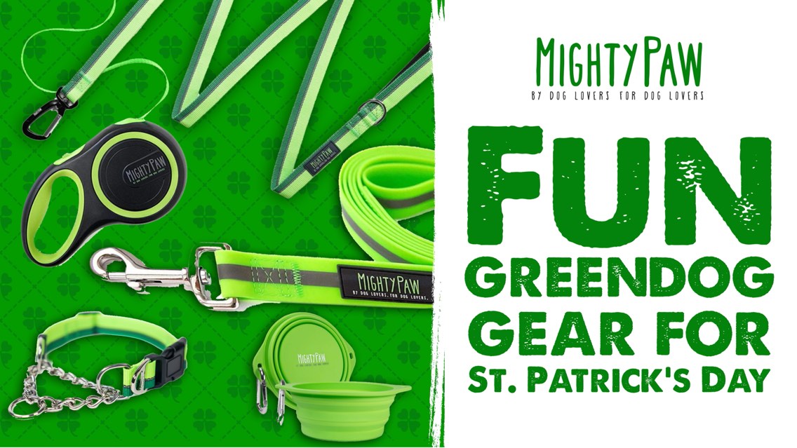 Fun Green Dog Gear For St. Patrick's Day