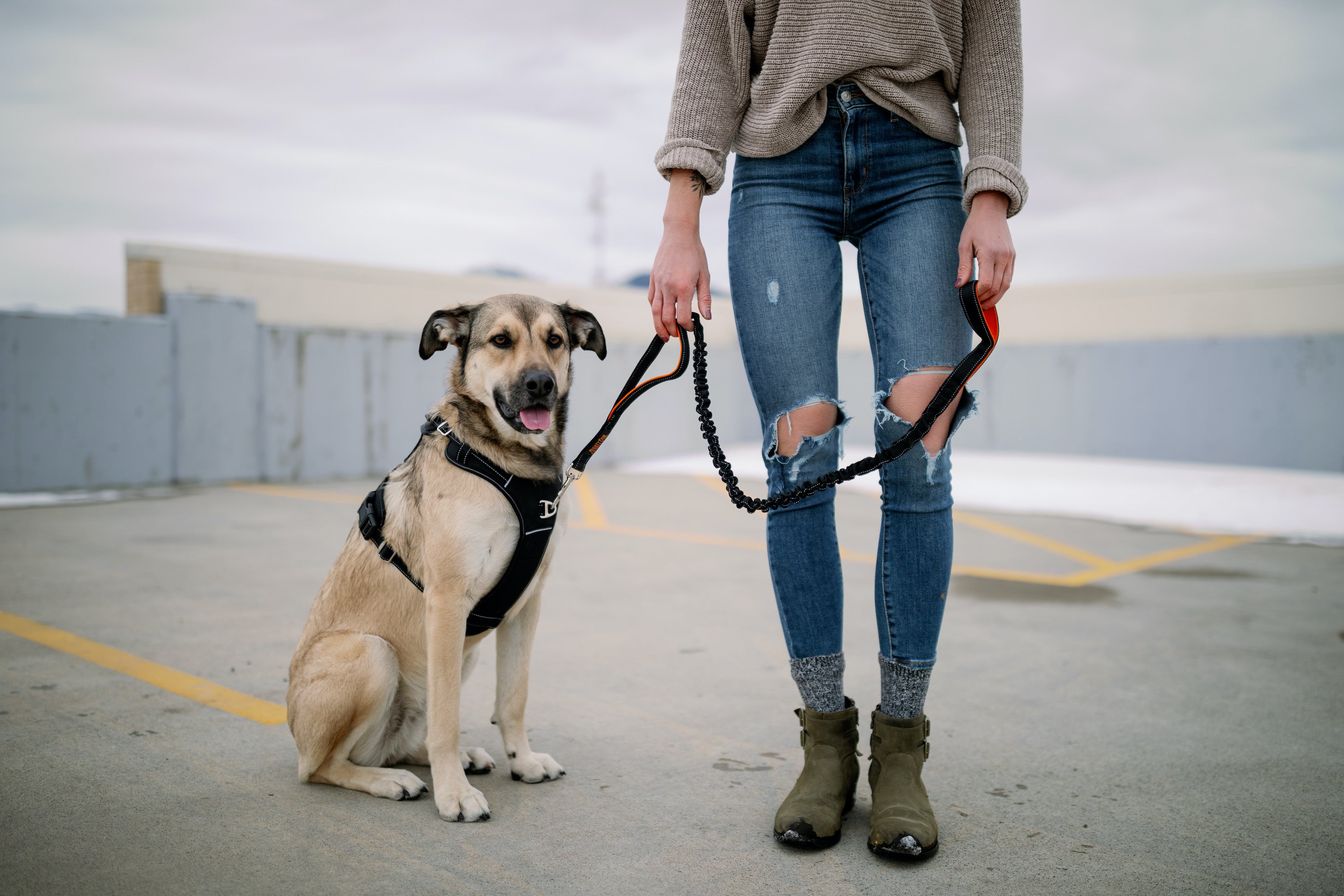 4 Benefits Of The Two-Handle Dog Leash
