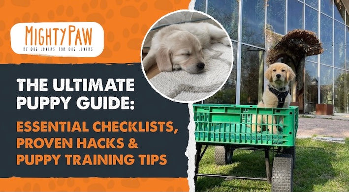 Mighty Paw Blog: The Ultimate Puppy Guide - Essential Checklists, Proven Hacks & Puppy Training Tips