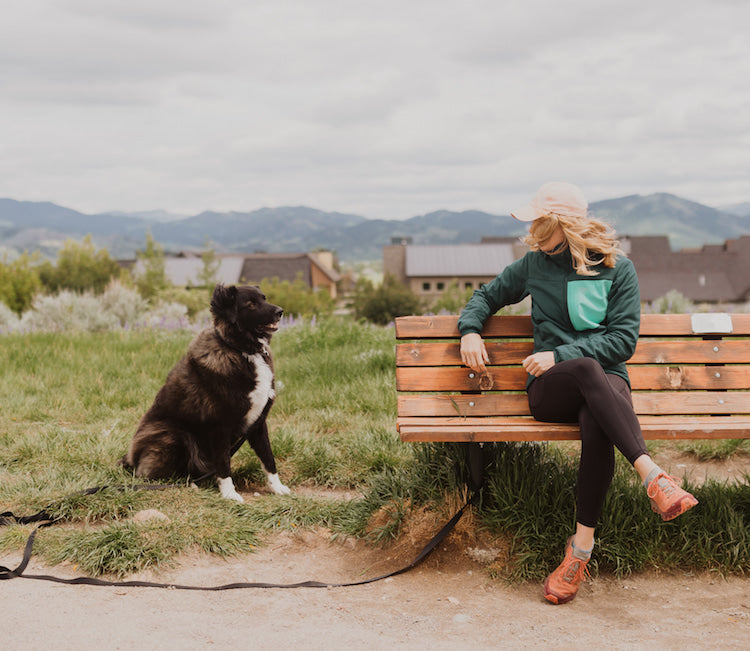 10 Ways to Train Your Dog With a Long Leash