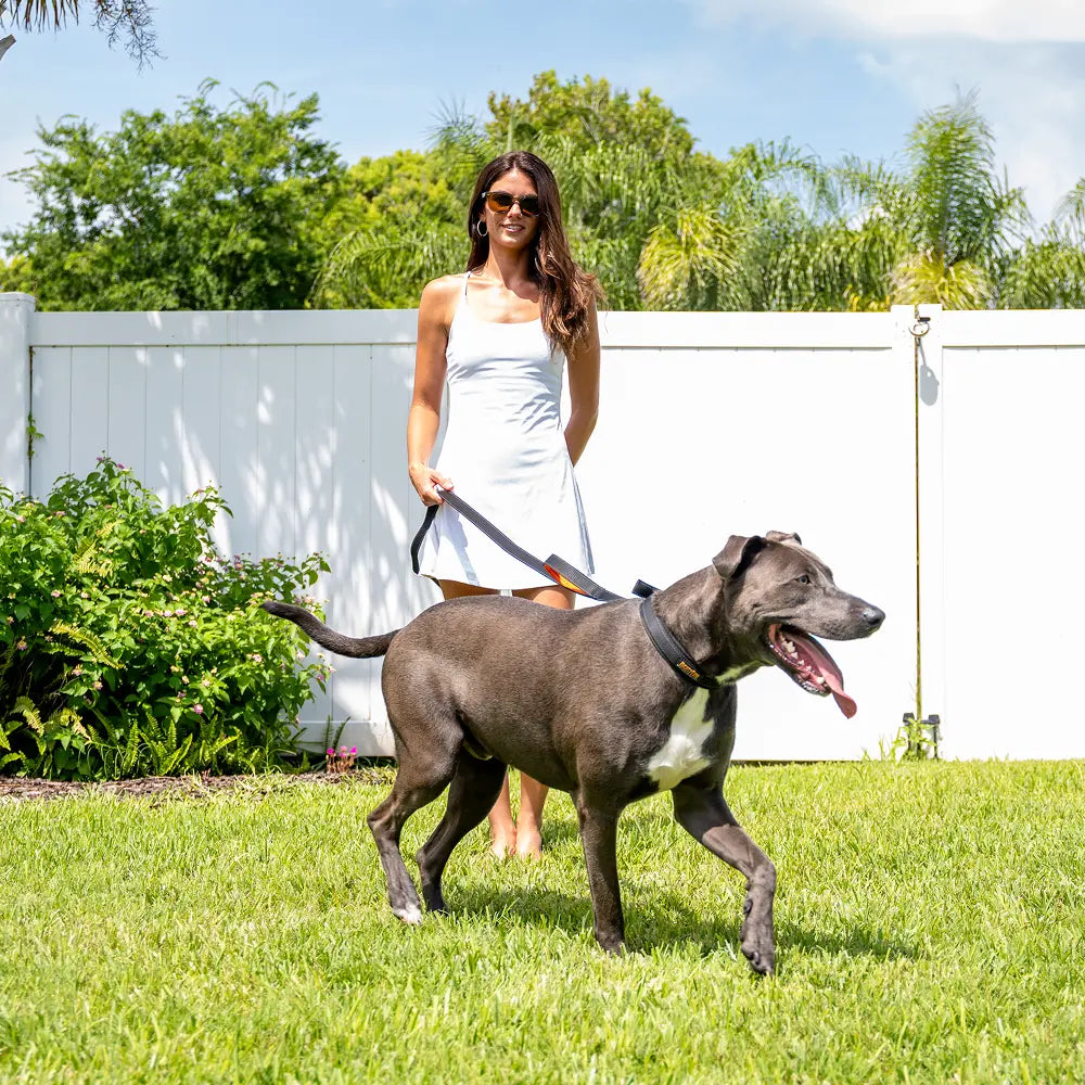 Woman walking her dog, reinforcing healthy dog habits