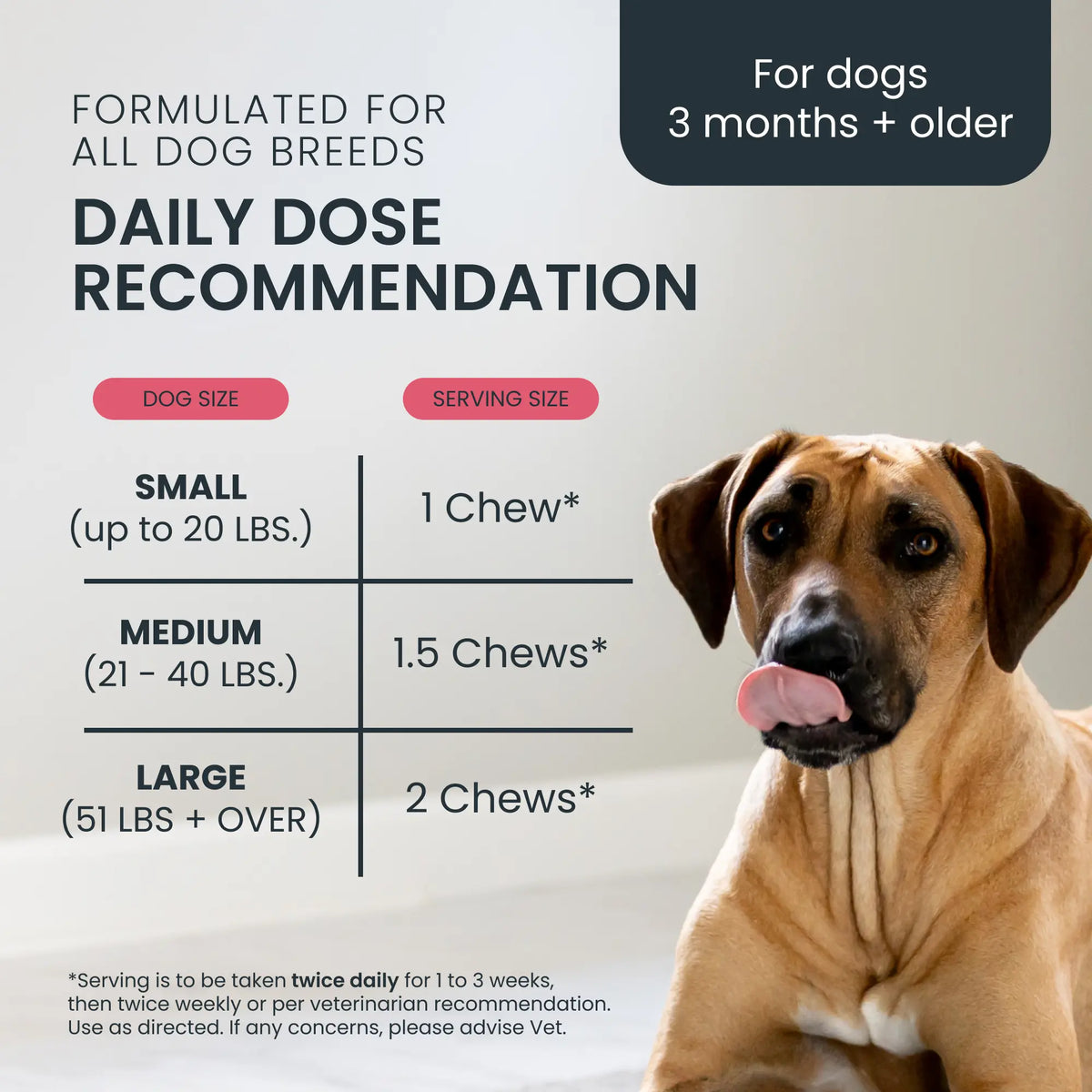 Mighty Cran-Bladder: Urinary Tract & Immune Support Supplement for Dogs