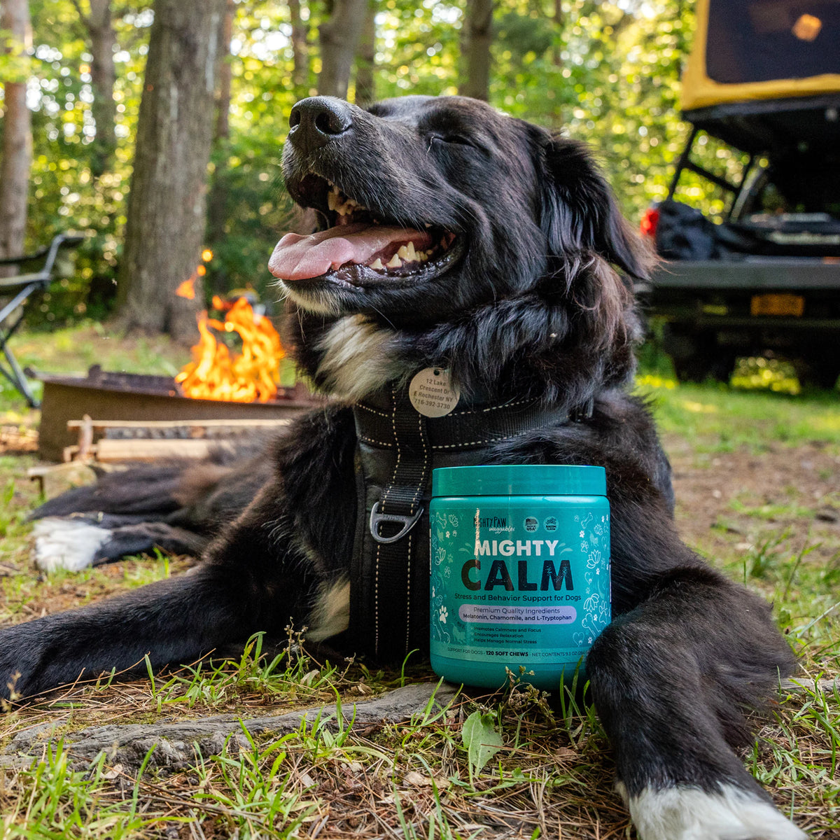Mighty Calm: Stress and Behavior Supplement for Dogs