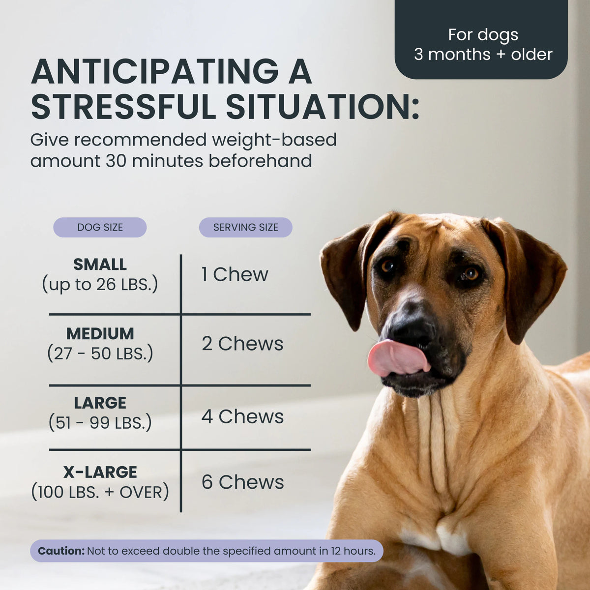 Mighty Calm: Stress and Behavior Supplement for Dogs
