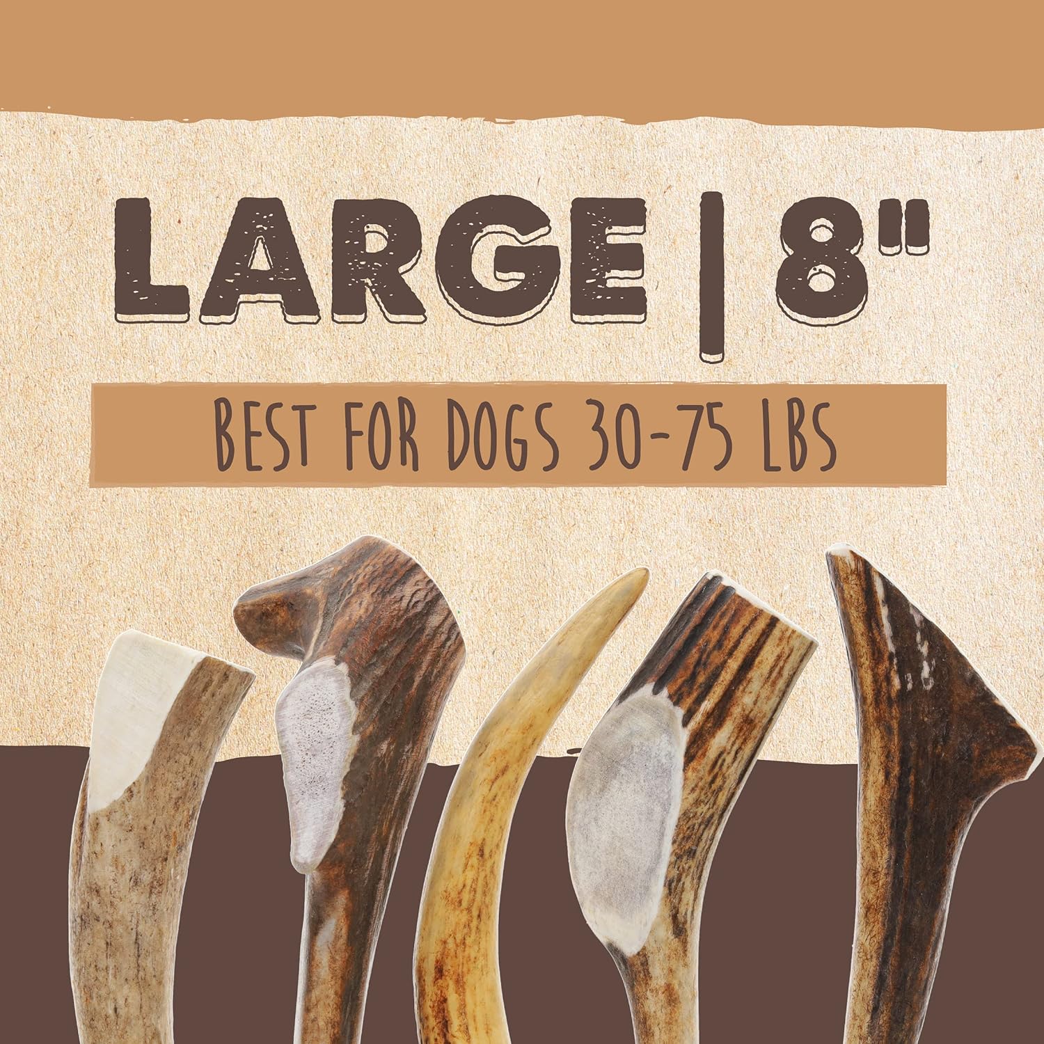 All-Natural Elk Antlers