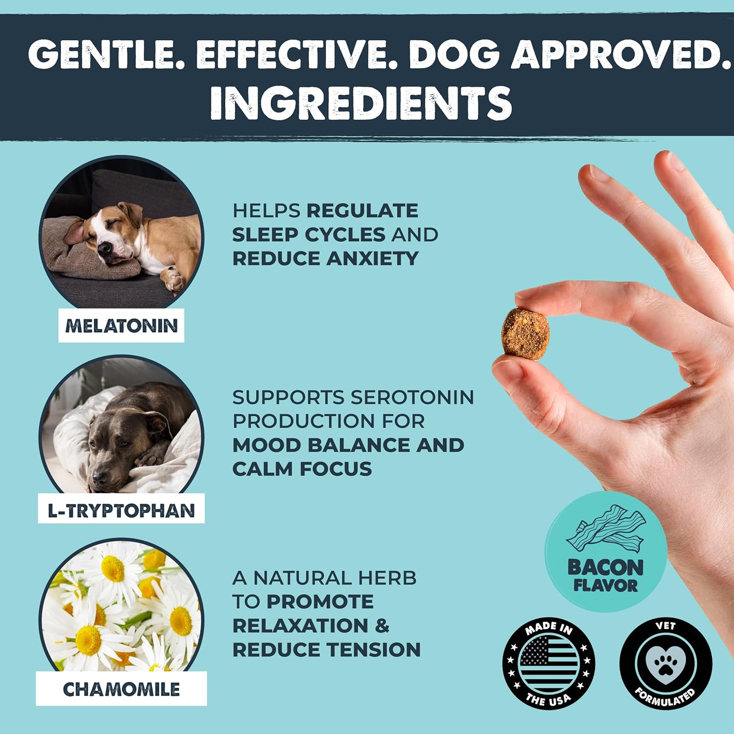 Mighty Calm: Stress and Behavior Supplement for Dogs