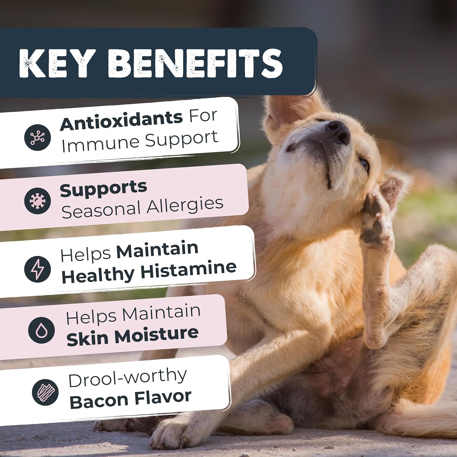 Mighty Allergy & Itch: Immune Support