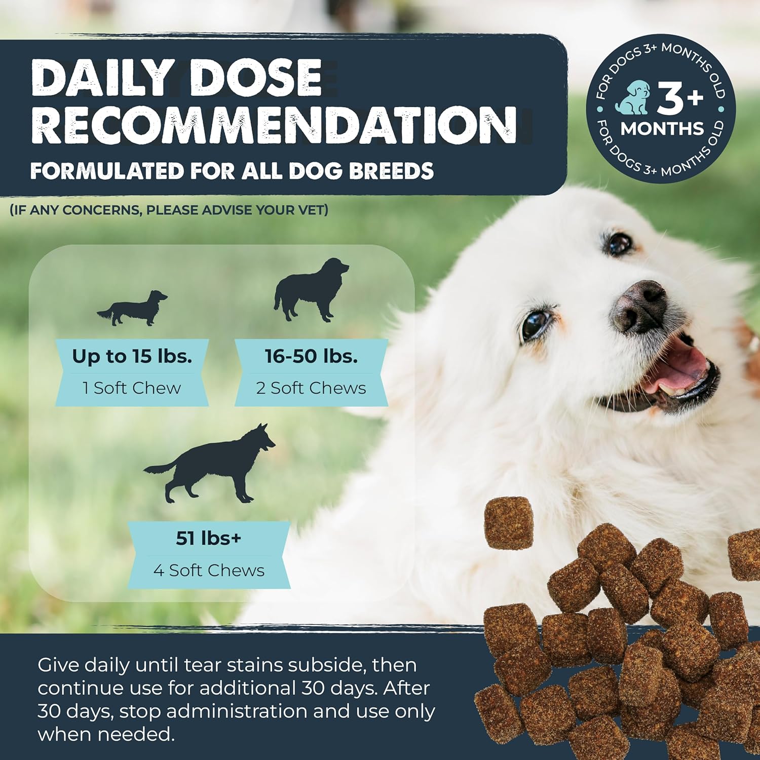 Mighty Eyes: Tear Stain & Eye Support Supplement for Dogs