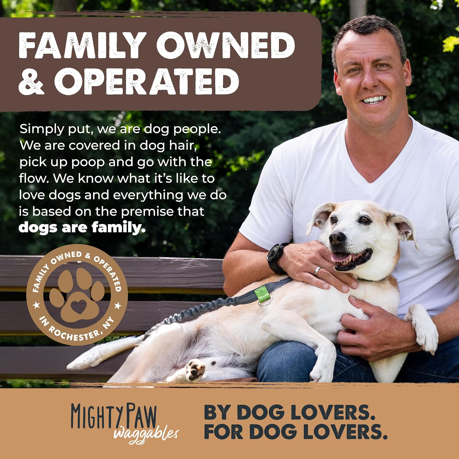 All-Natural Bully Stick Curls