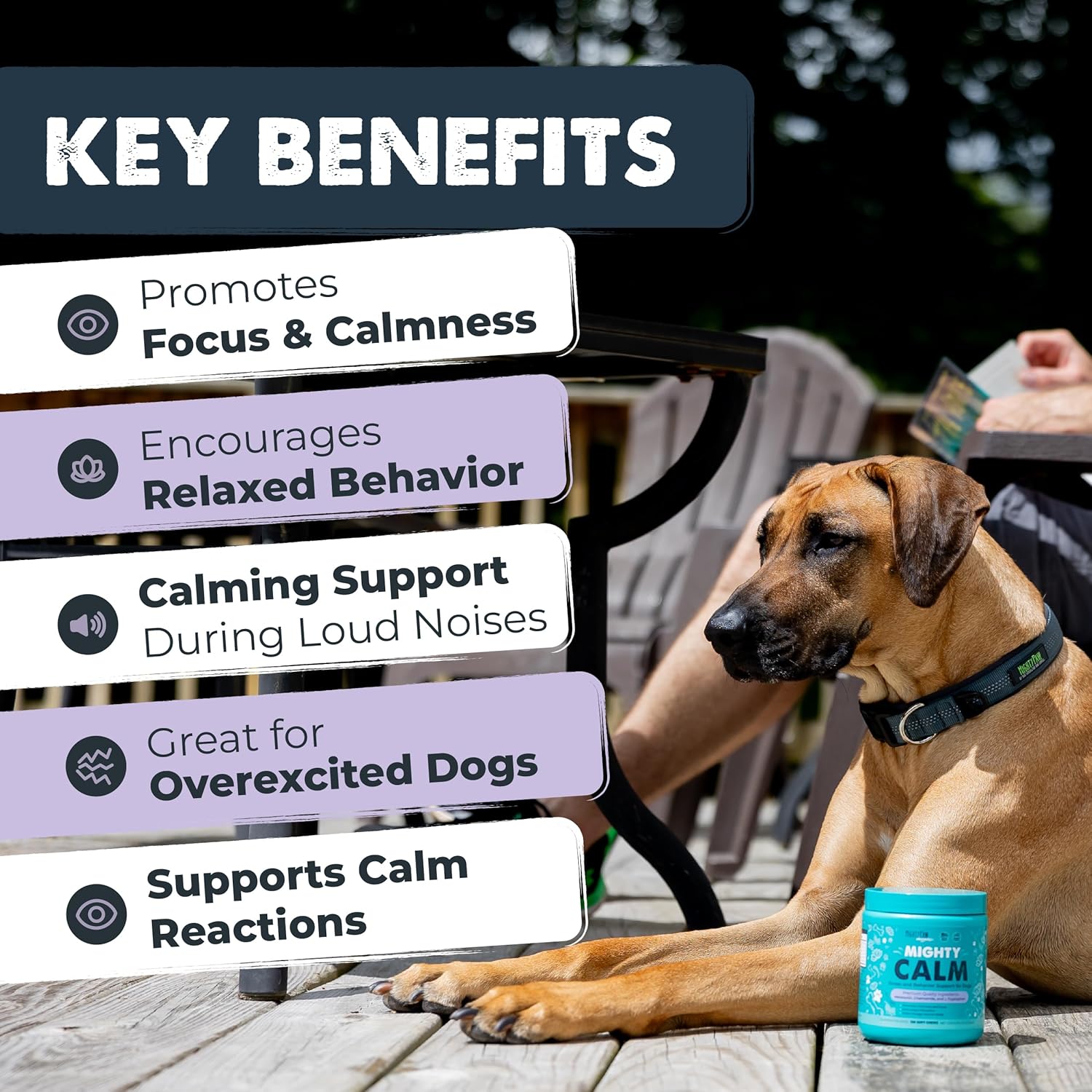 Mighty Calm: Stress and Behavior Support Supplement