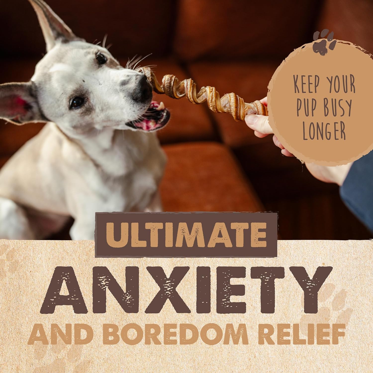 All-Natural Bully Stick Curls