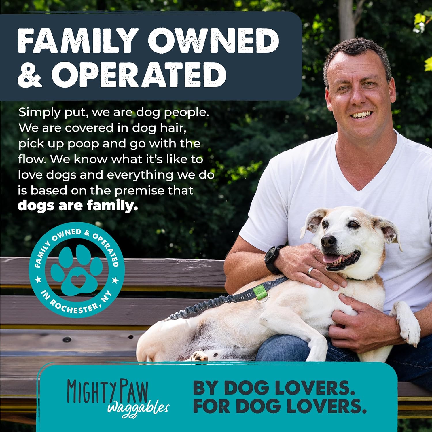 Mighty Eyes: Tear Stain & Eye Support Supplement for Dogs