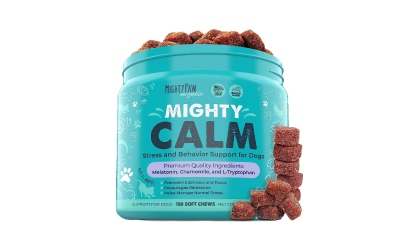 Starter Calm Kit with Training, Calming Chews, and Gift Card