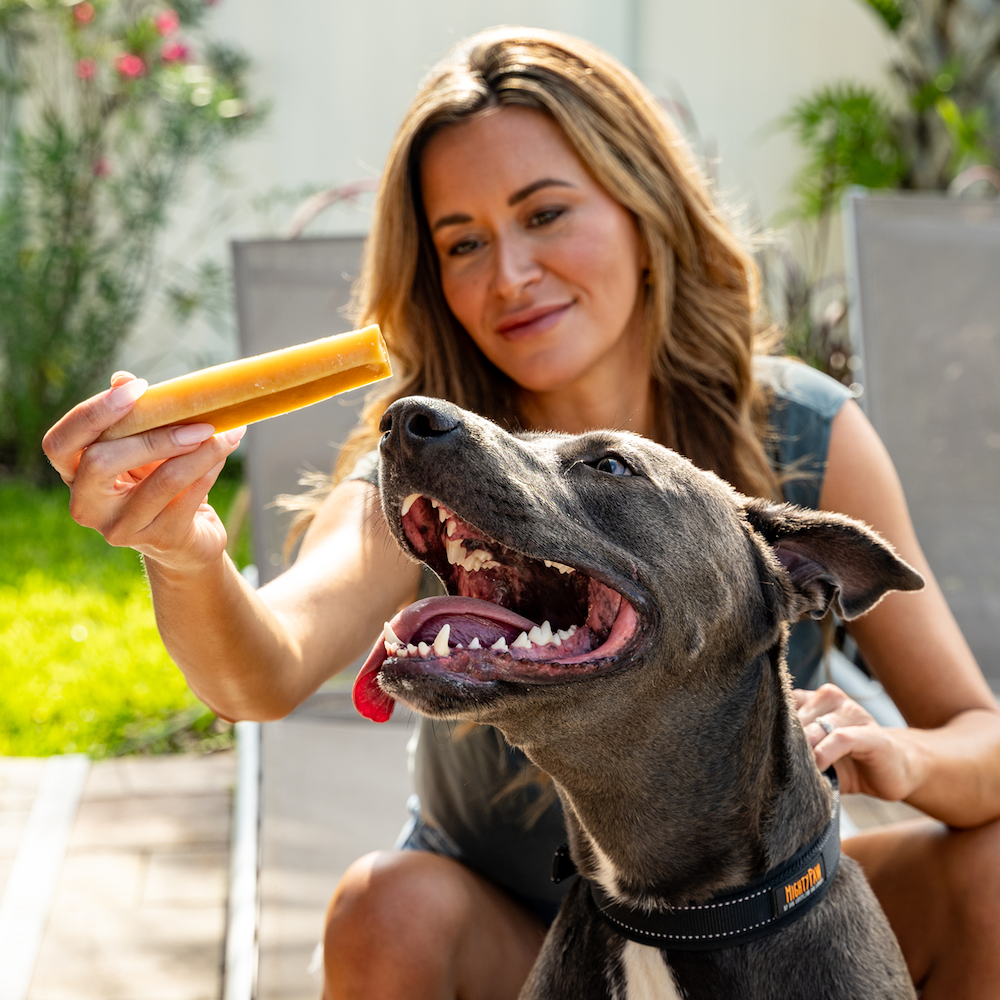 All-N-One Dog Chew Bundle