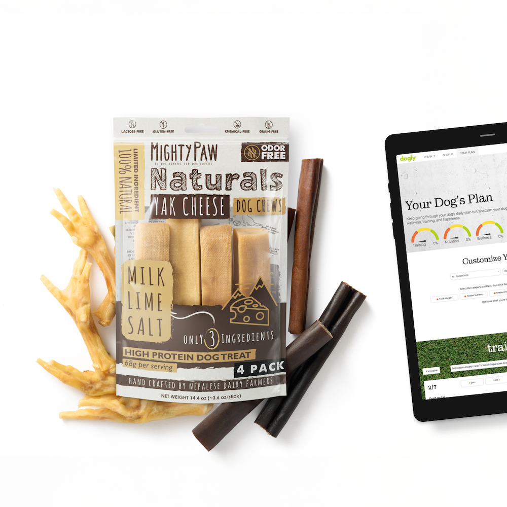 All-N-One Dog Chew Bundle