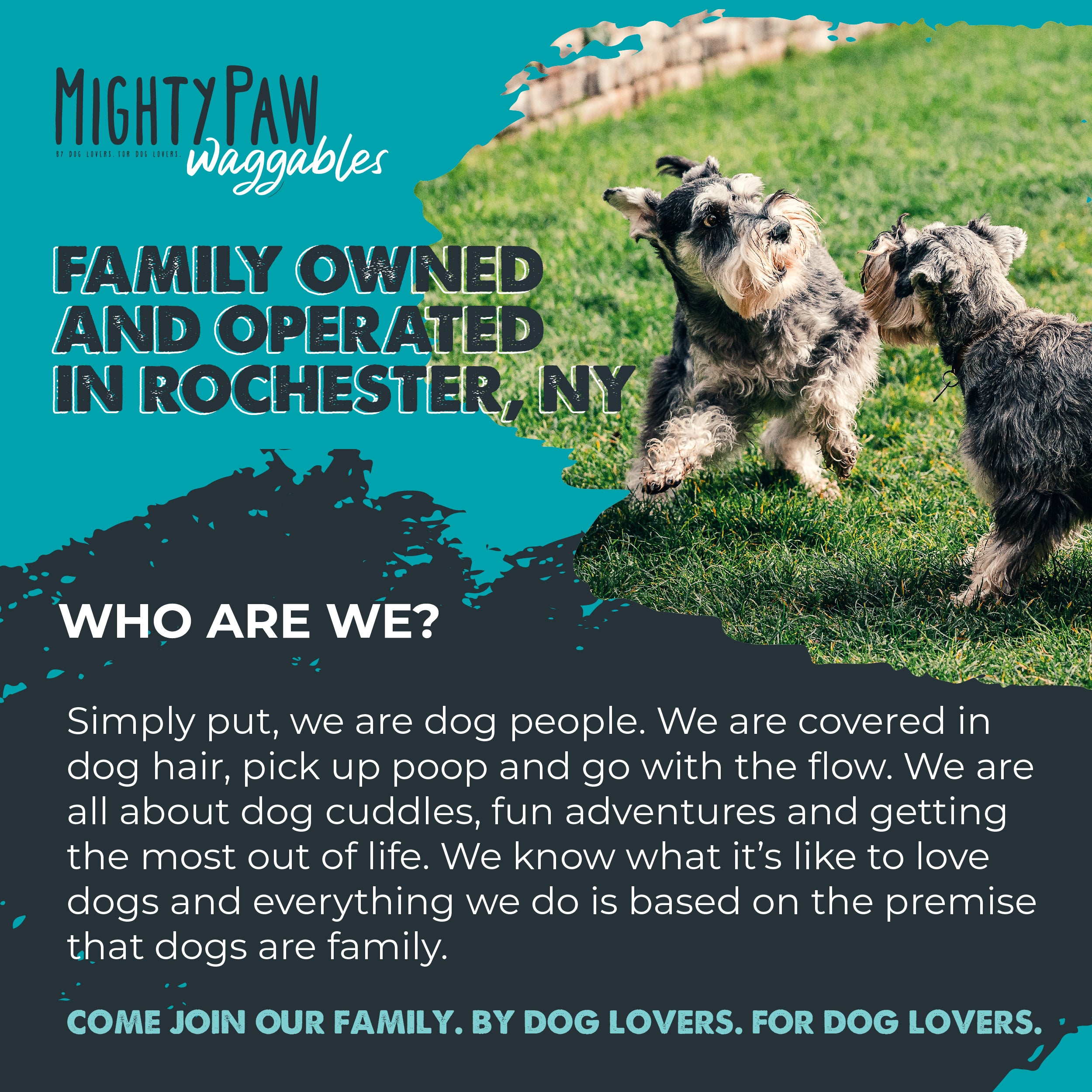 Mighty Joints: Hip & Mobility Supplement