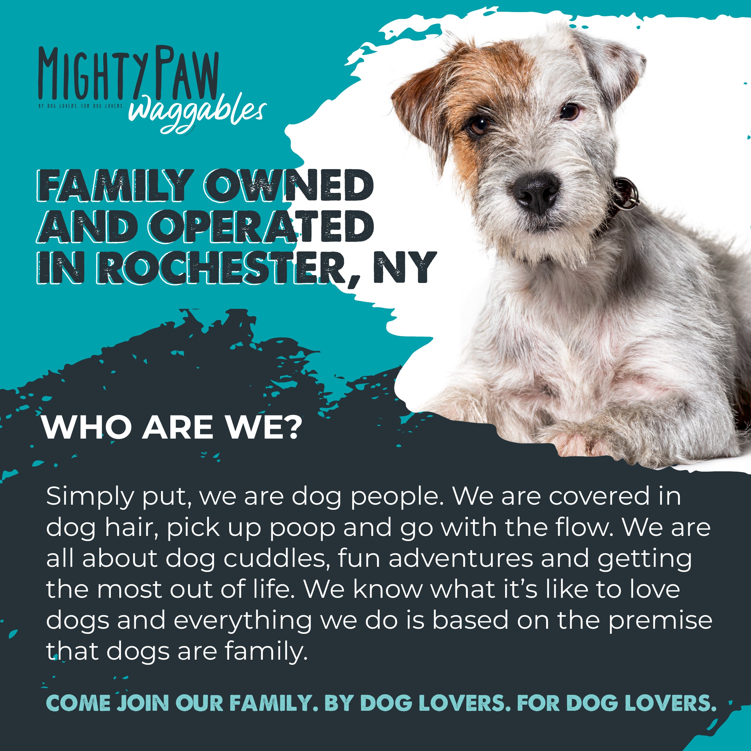 Mighty Probiotic: Digestion Support Supplement