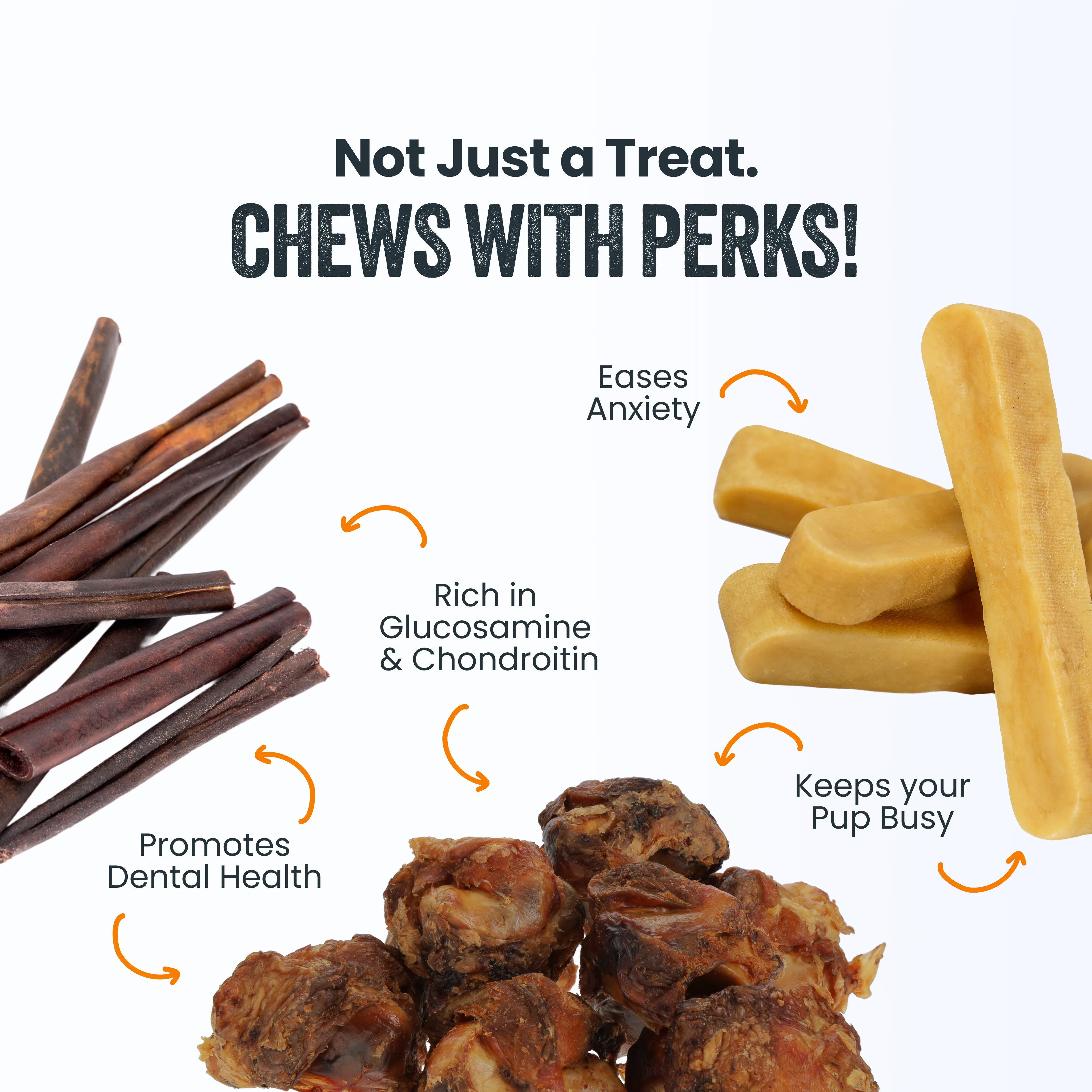 Power Chewer Bundle