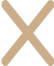 icon_false