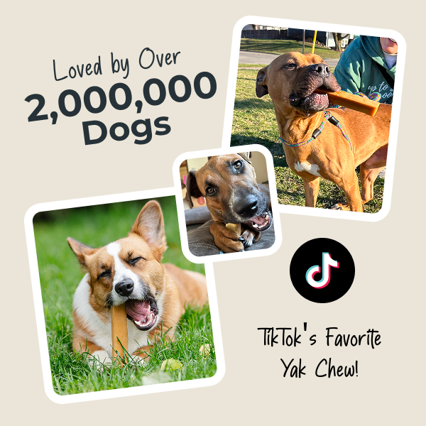 Promotional graphic for a dog yak chews with images of dogs and TikTok branding.