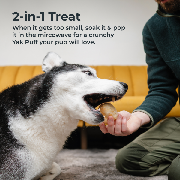 Dog being offered a yak chew puff by a person, with text about a 2-in-1 treat for dogs.