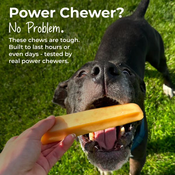 Dog chewing on a yak chew with text about durability, set against a grassy background.