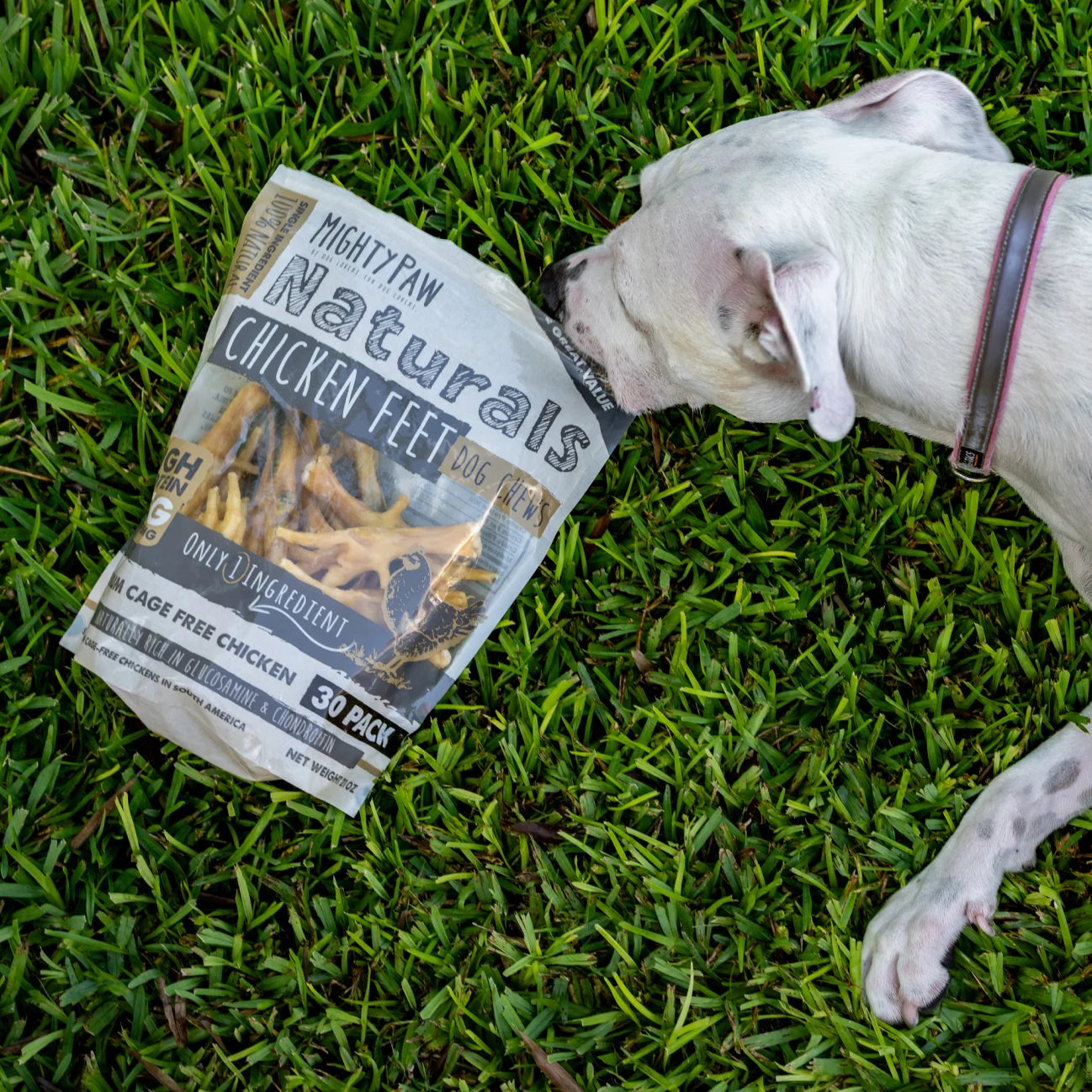 Bulk Bucket Chicken Feet