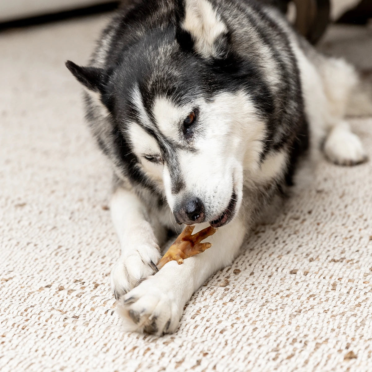 Bulk Bucket Chicken Feet