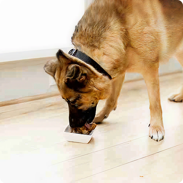 1. Long-Lasting for Power Chewers